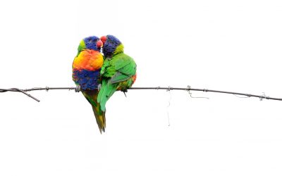 Now is always the right time to speak the truth about love